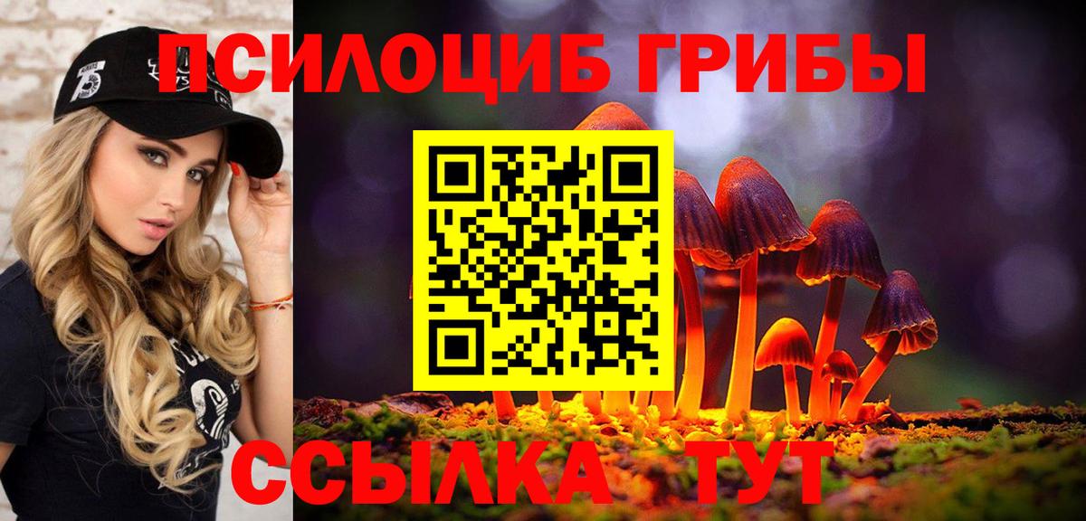 Галлюциногенные грибы Psilocybe Верхний Уфалей