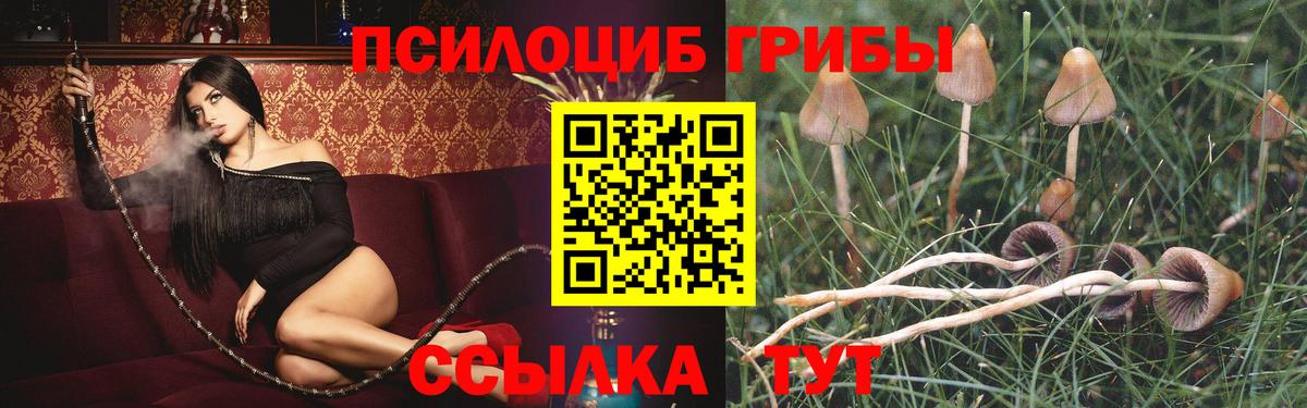 Верхний Уфалей  Галлюциногенные грибы Psilocybine cubensis  Вход с VPN  Псилоцибиновые грибы мухоморы 